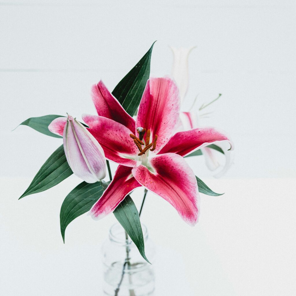 How to Decorate Your Home with Fresh Vase Flowers and Make Them Last